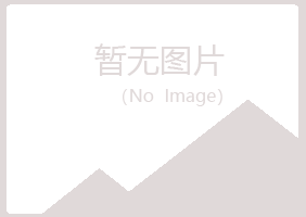 偃师雨韵造纸有限公司